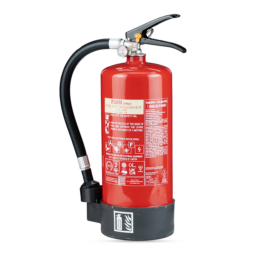 Thumbnail: EN APPROVED FOAM PORTABLE EXTINGUISHERS (SPRAY MODEL)