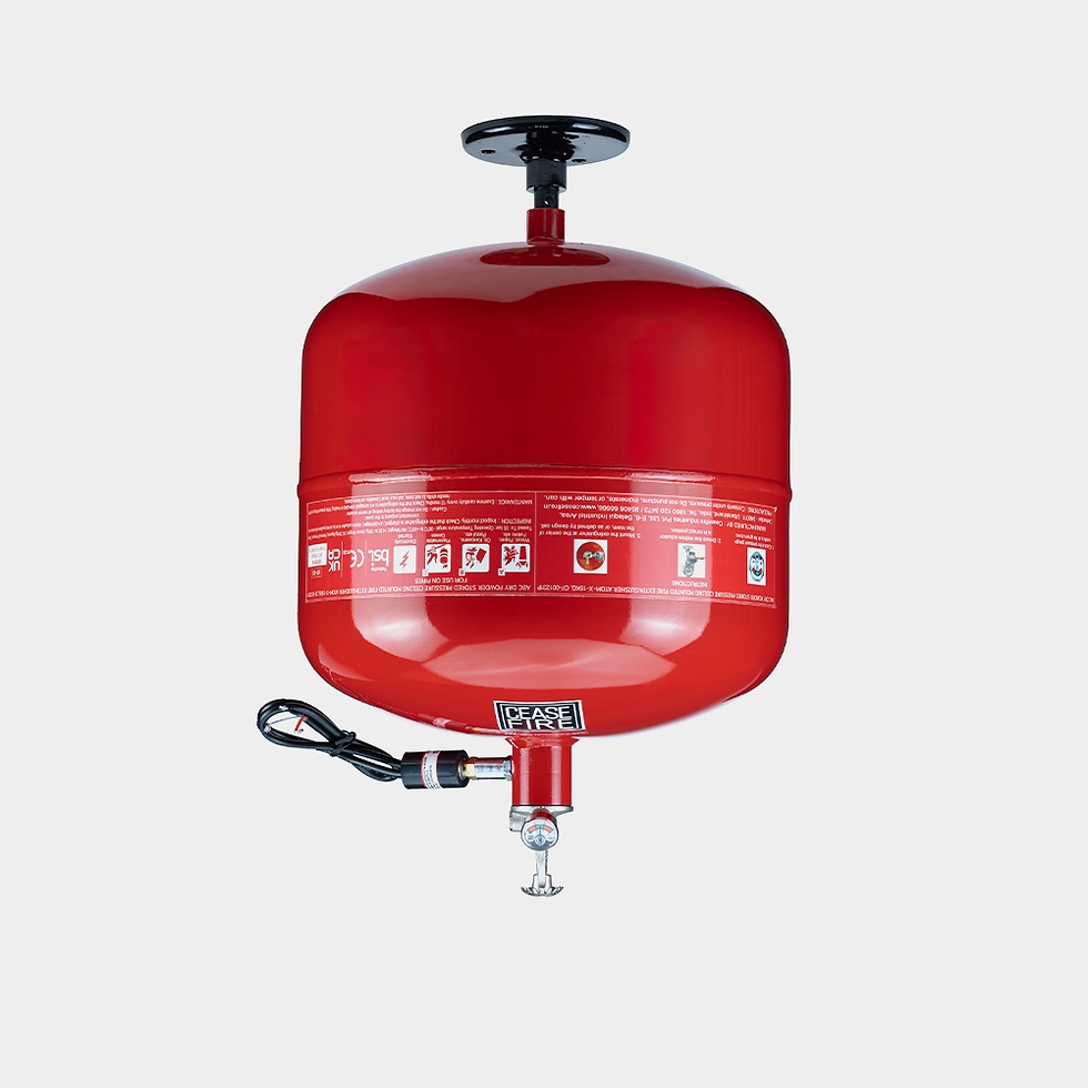 Thumbnail: Ceiling Mounted Automatic (M Series) ABC Powder Fire Extinguishers