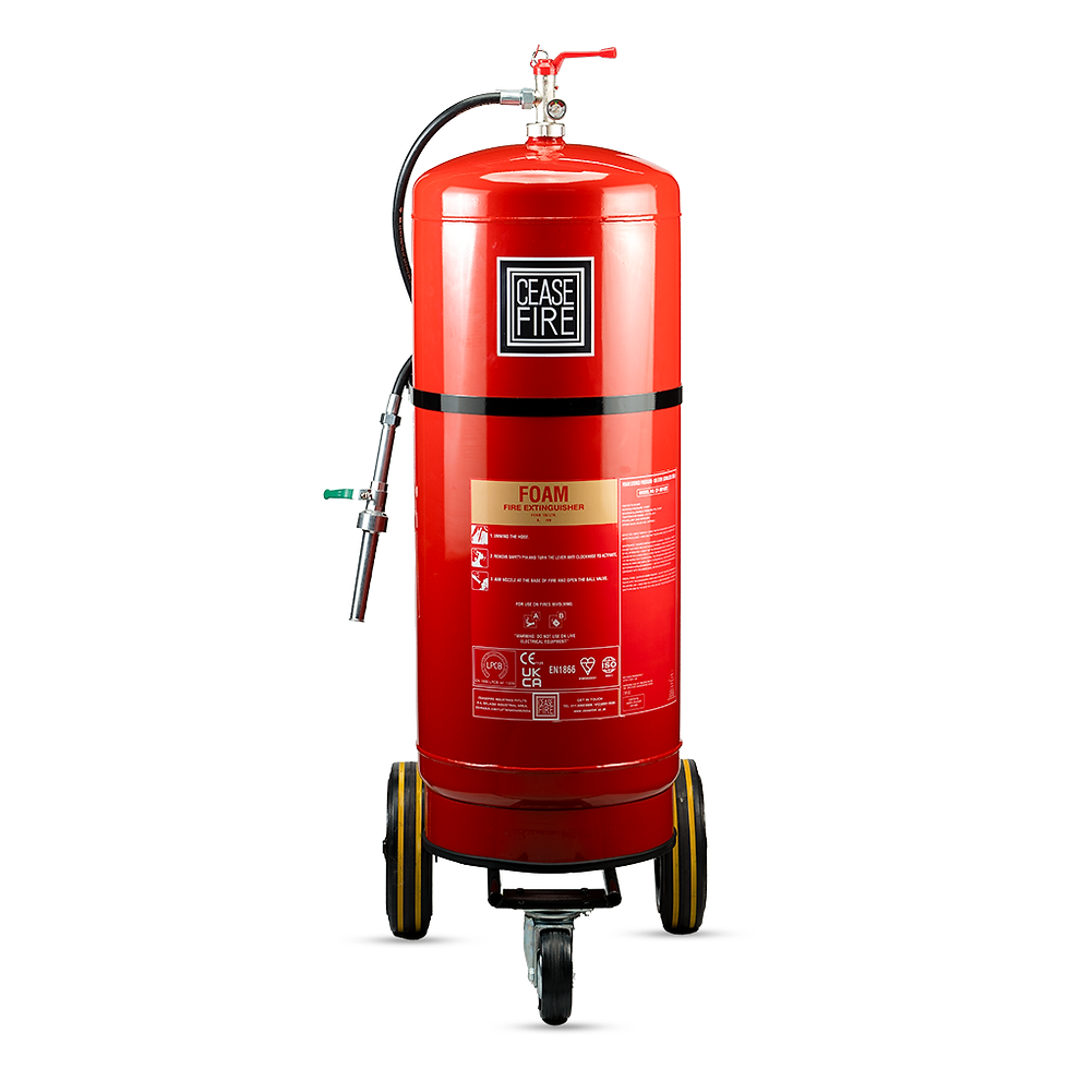 Thumbnail: Foam Based Wheeled Fire Extinguishers