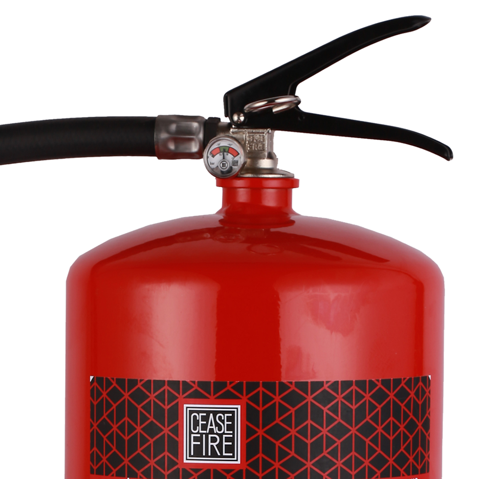 Thumbnail: B Plus Special Agent Based Portable (Stored Pressure Type) Fire Extinguishers