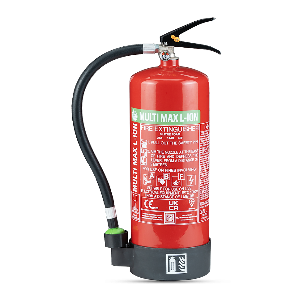 Thumbnail: Multimax L - ion Portable Fire Extinguishers