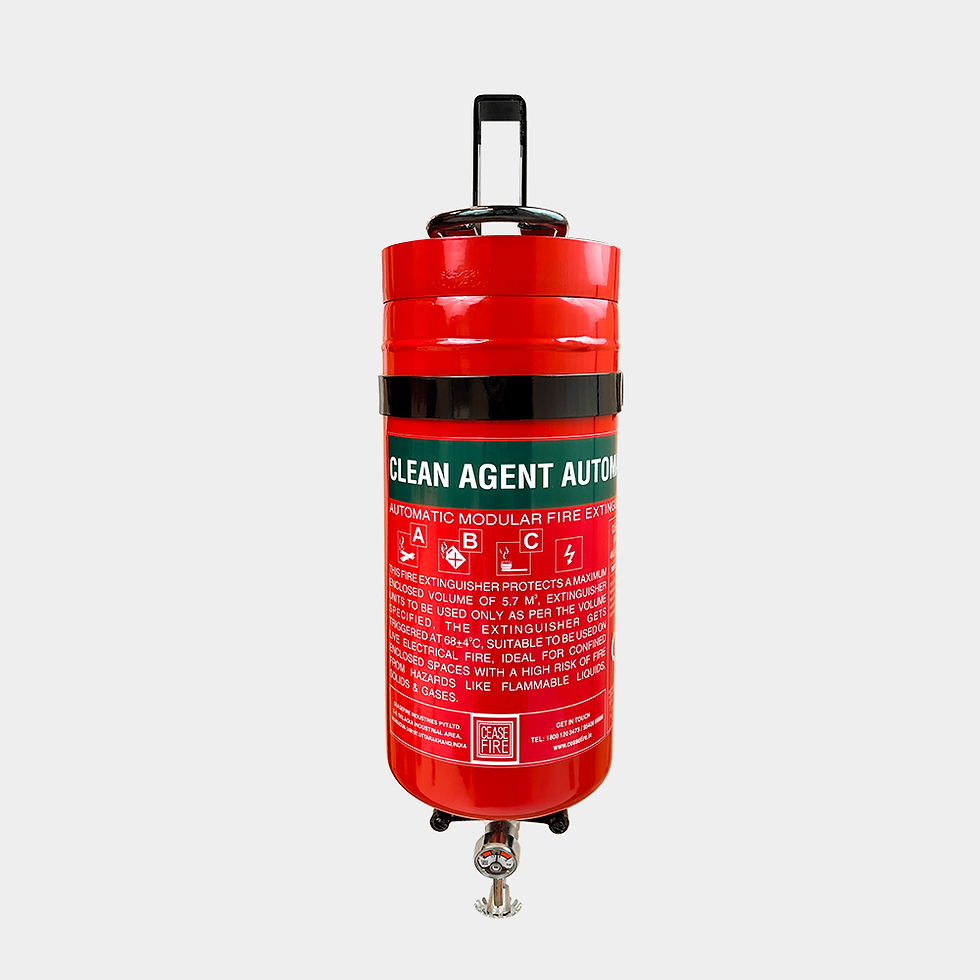 Thumbnail: Automatic Fire Extinguishers - Clean Agent (Wall Mounted)