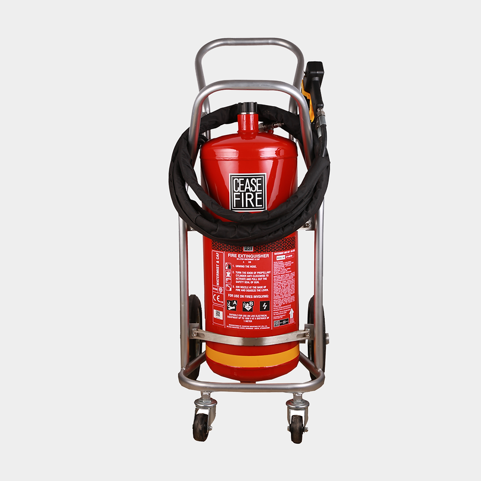 Thumbnail: Cafs (Watermist Compressed Air Foam System - Low Pressure)