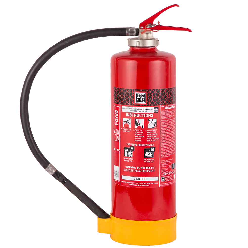 Thumbnail: Foam Based Portable (Spot Pressure Type) Fire Extinguishers