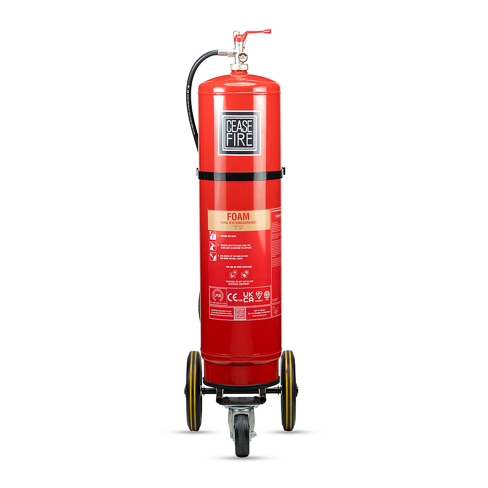 Thumbnail: Foam Based Wheeled Fire Extinguishers