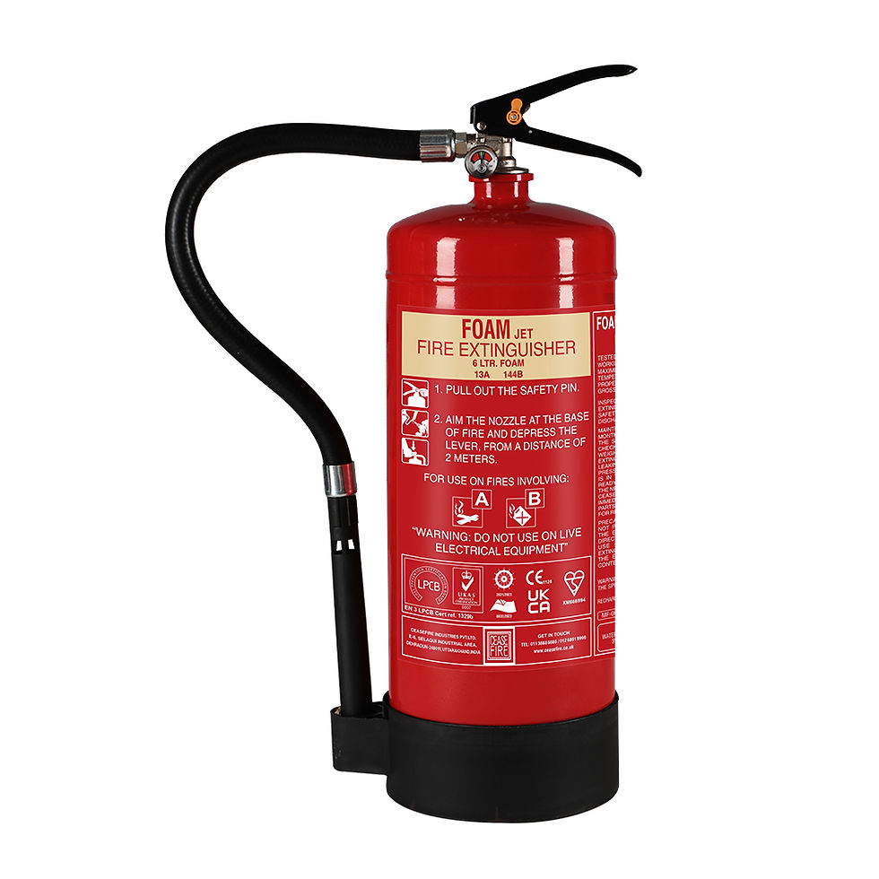 Thumbnail: Foam Based Portable Fire Extinguishers
