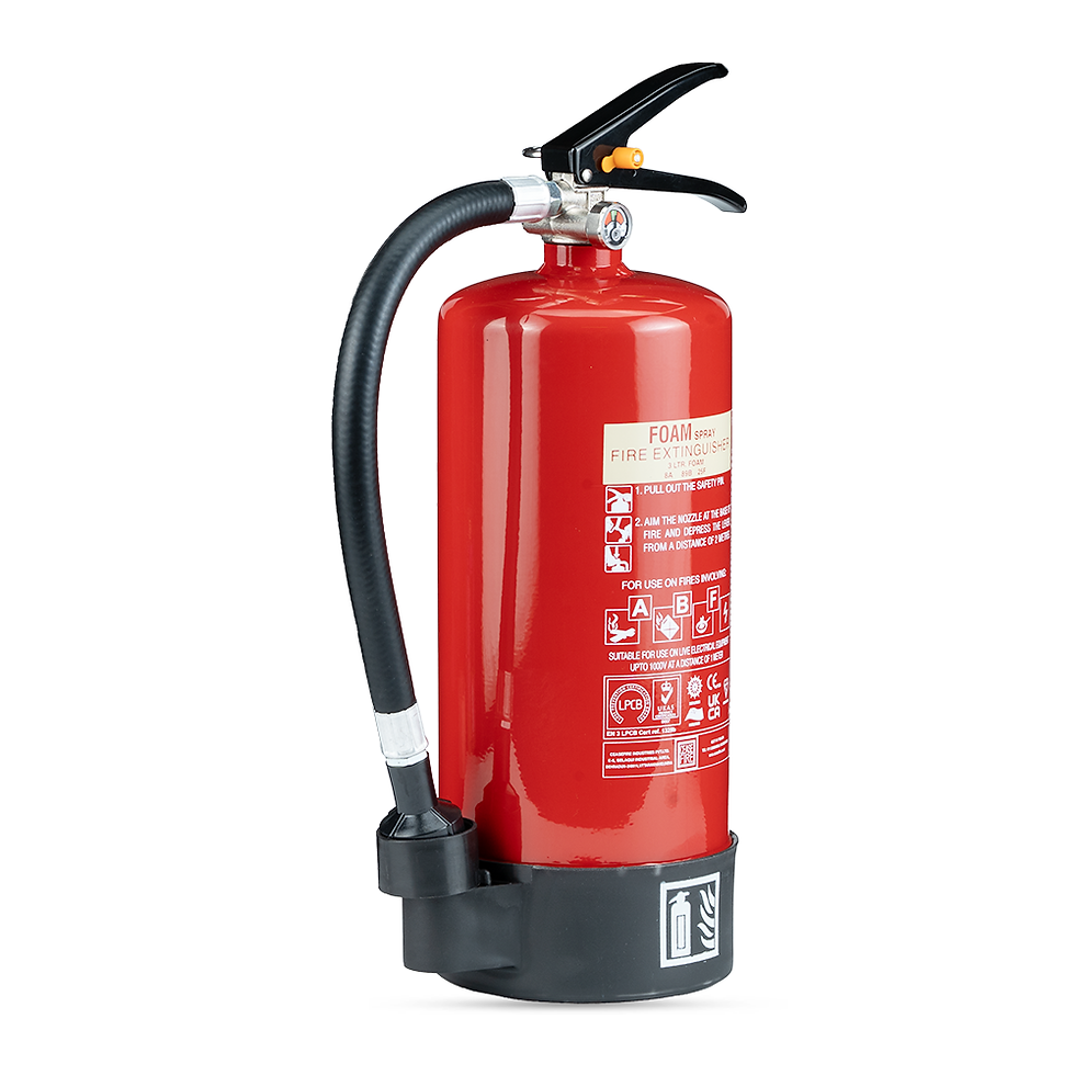 Thumbnail: EN APPROVED FOAM PORTABLE EXTINGUISHERS (SPRAY MODEL)