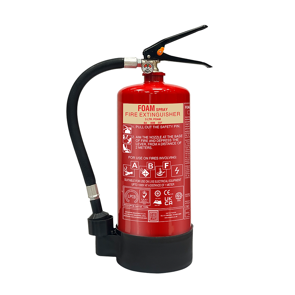 Thumbnail: Foam Based Portable Fire Extinguishers (Spray Model)