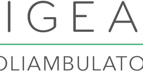 igea logo.png