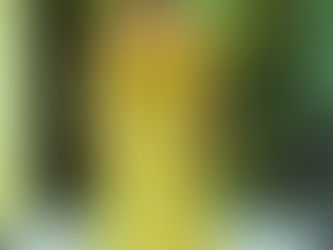 Galería Fotográfica Amarca Feria moda.18