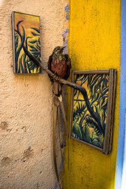 .Quetzal.