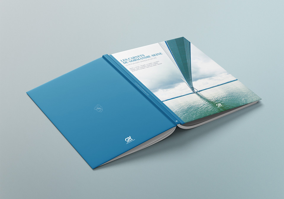 CANS_Book_Prez1 copie.jpg