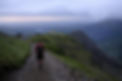DSCF8606.JPG