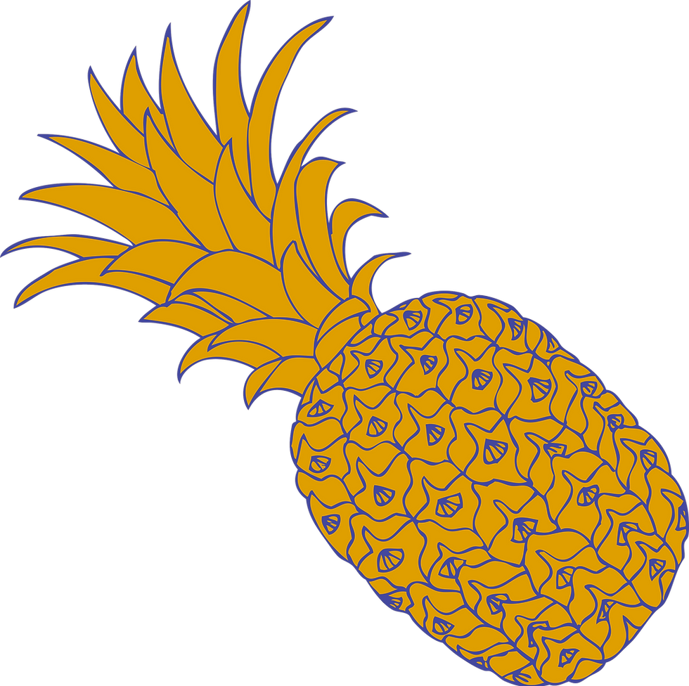 Decorative Pineapple Design