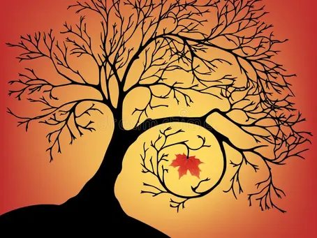 Medications at the End of Life: A Gentle Conversation