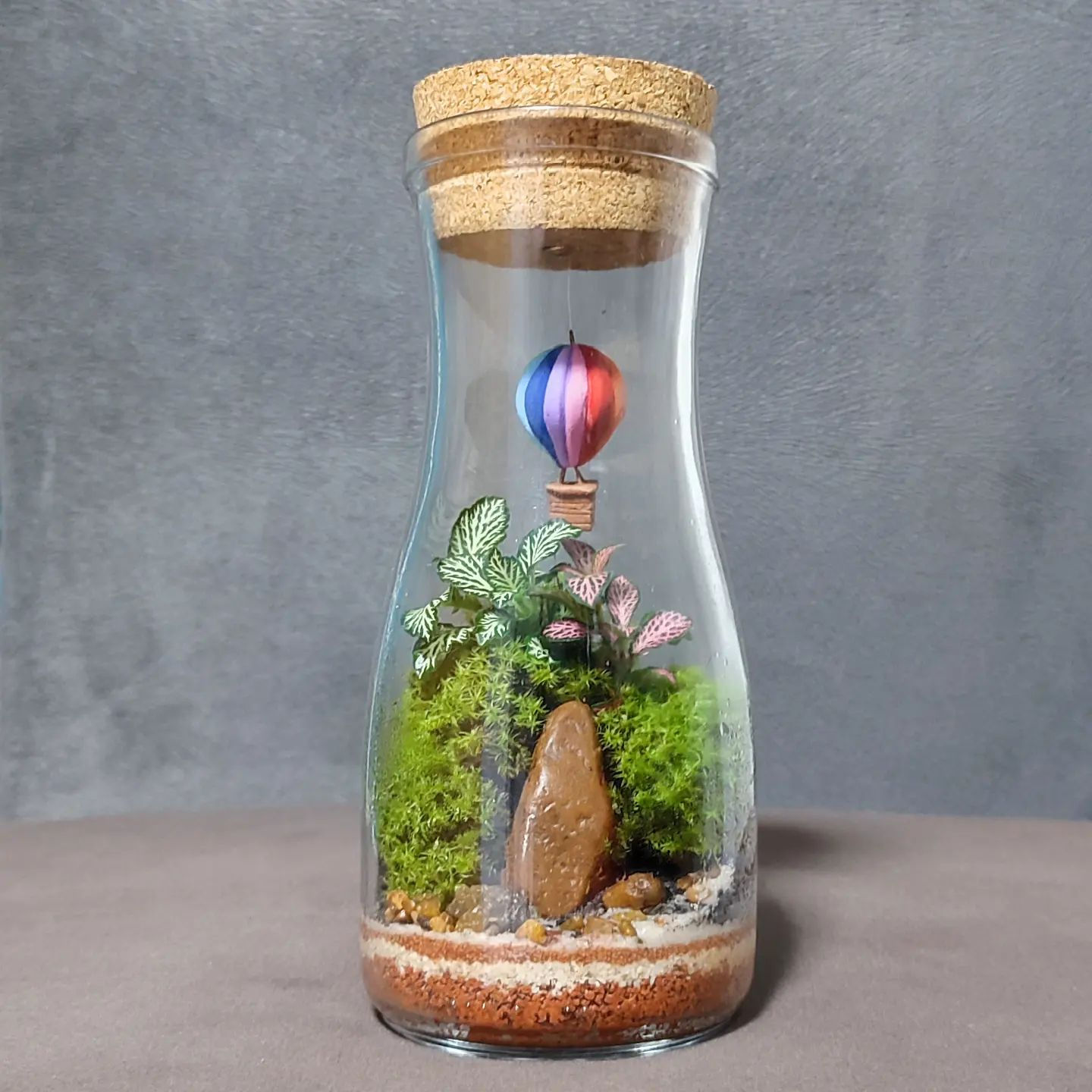 TERRÁRIO VÔO PARADISÍACO