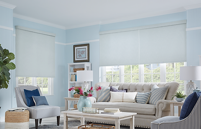 Roller Shades.png