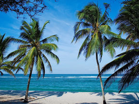 Cosa vedere a Mombasa, l’isola del Paradiso