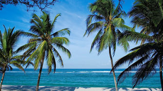 Cosa vedere a Mombasa, l’isola del Paradiso