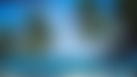 Cosa vedere a Mombasa, l’isola del Paradiso