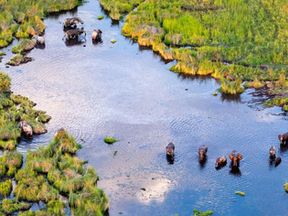 Viaggio in Botswana: Alla scoperta delle meraviglie naturali
