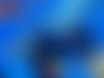 Immersioni in Africa