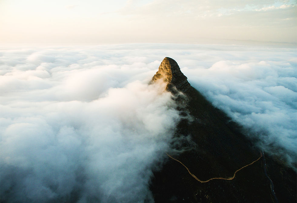 Lion's Head - Table Mountain Cape Town