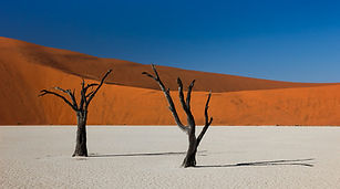 namibia.jpg