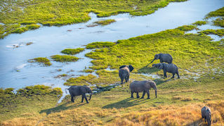Maun, Botswana: Cosa vedere, fare e quando andare