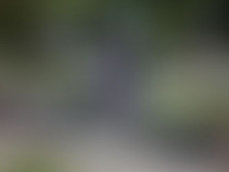 Unntakstilstand innført på Krym