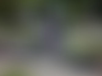 Unntakstilstand innført på Krym
