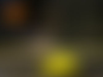 En håndgranat eksploderte i Pilestredet tidligere i år