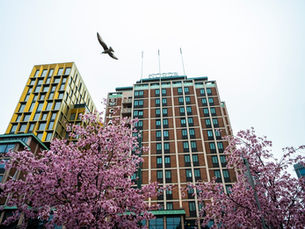 Brannalarm på Oslo-hotell etter haglskudd – en person pågrepet