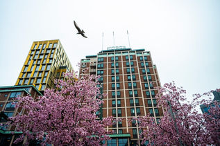 Brannalarm på Oslo-hotell etter haglskudd – en person pågrepet