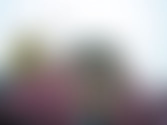 Brannalarm på Oslo-hotell etter haglskudd – en person pågrepet