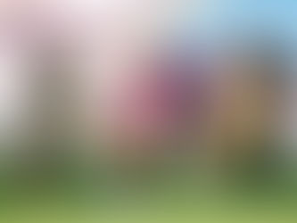 Stortalentet Dorsin (19) lånes ut fra PSG til Roma