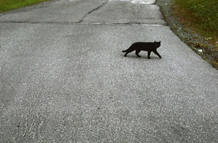 Fredag den 13. er ikke så farlig som sitt rykte
