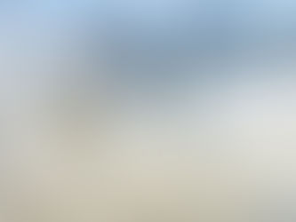 Fra innvandringspoliti til «Trumps milits» – dette er amerikanske Ice