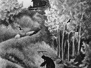 Vulkanutbrudd kan ha bidratt til spredning av svartedauden til Europa