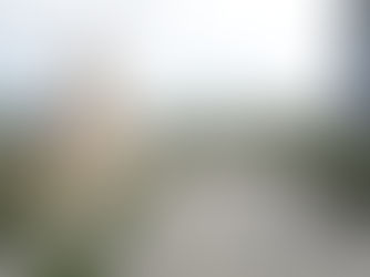 Trump vil bygge bibliotek i glass og gull i Miami