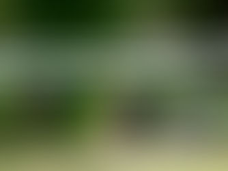 Svensk politi: 67.500 personer kobles til kriminelle gjenger