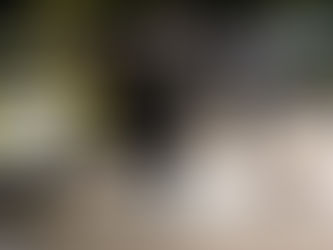 En tredje person pågrepet etter skytingen på Holmlia