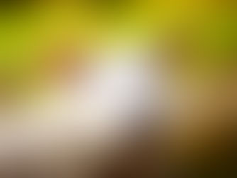 Nattens viktigste nyheter