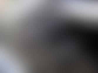 Eksperter advarer: Utenlandsreiser kan gi alvorlig sykdom hos hund