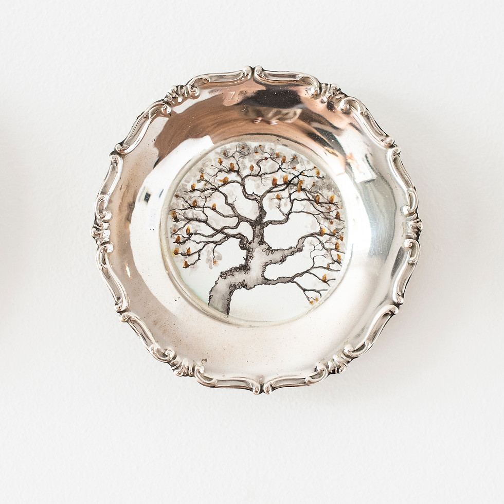 Thumbnail: 'Coastal Banksia' tree portrait