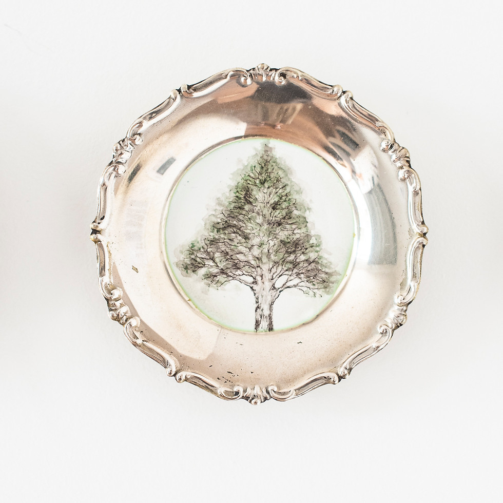 Thumbnail: 'Christmas' tree portrait