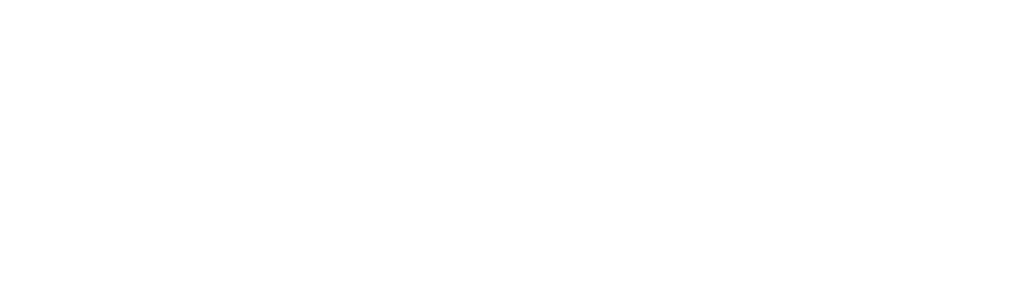 Spruzzo White Logo
