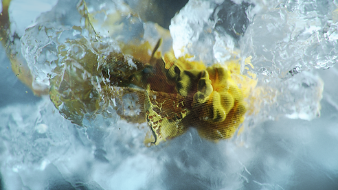 17_cloth_LIQUID_A_v002.png