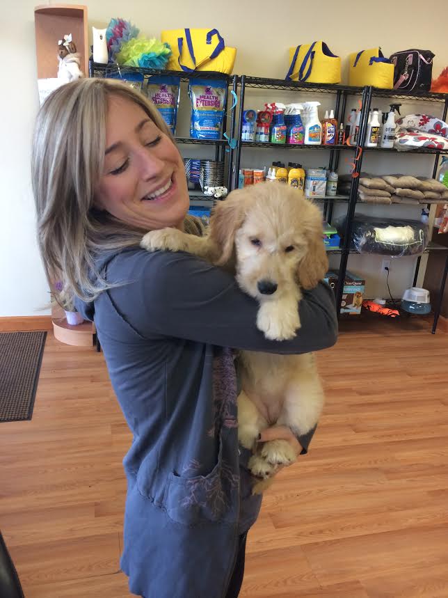 Golden-Doodle.jpg