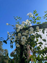 IMG_3859.jpeg
